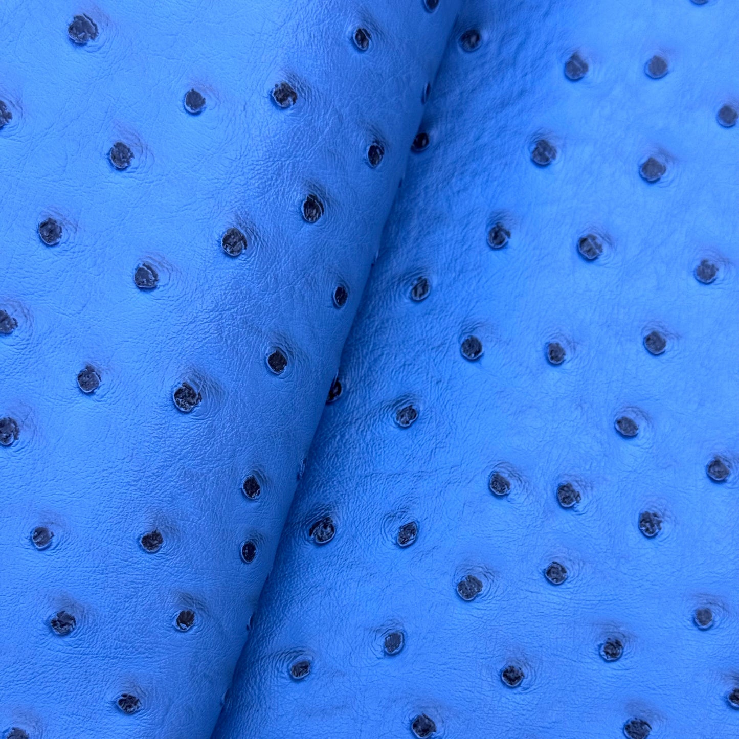 Ostrich textured vinyl / faux leather blue