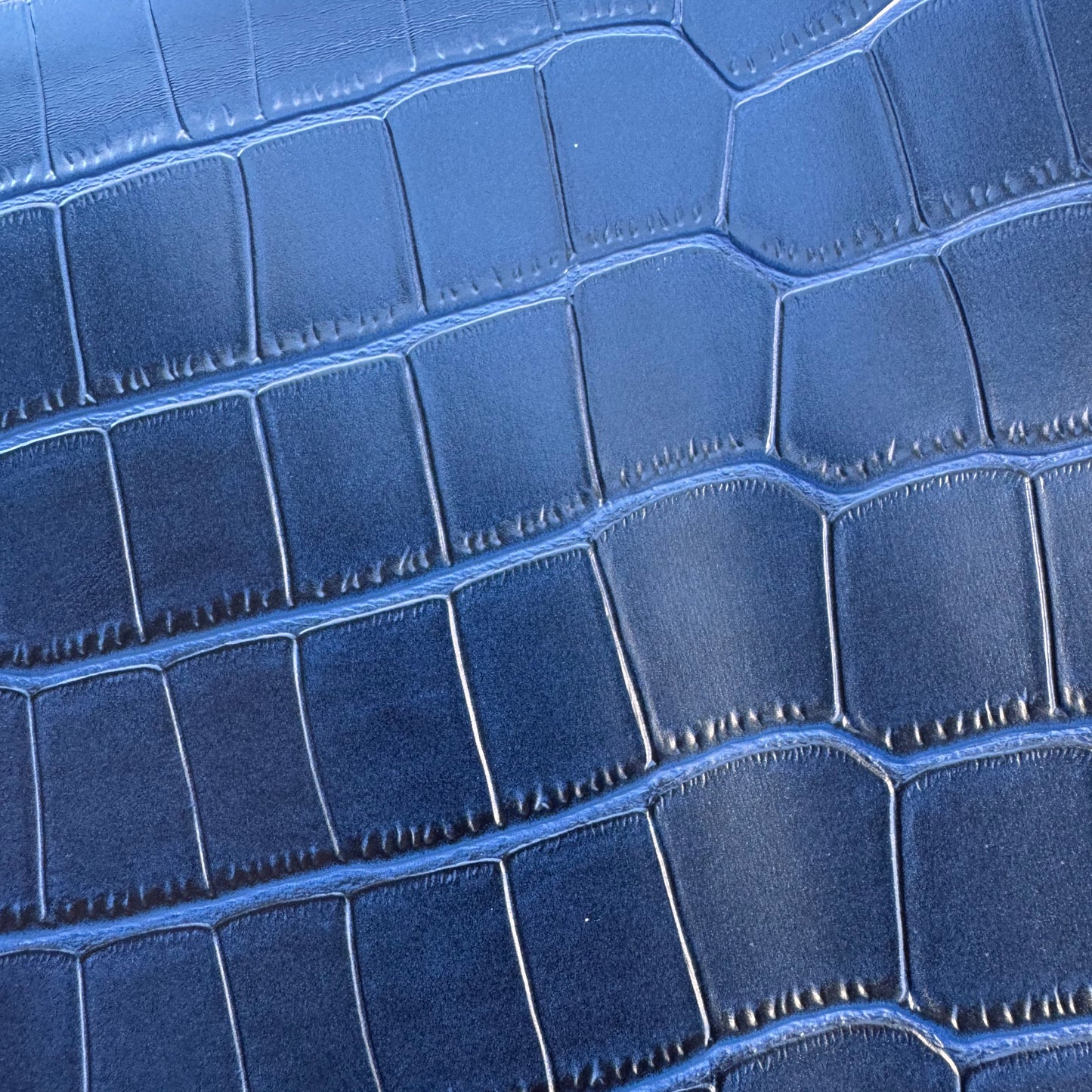 Croc texture Navy